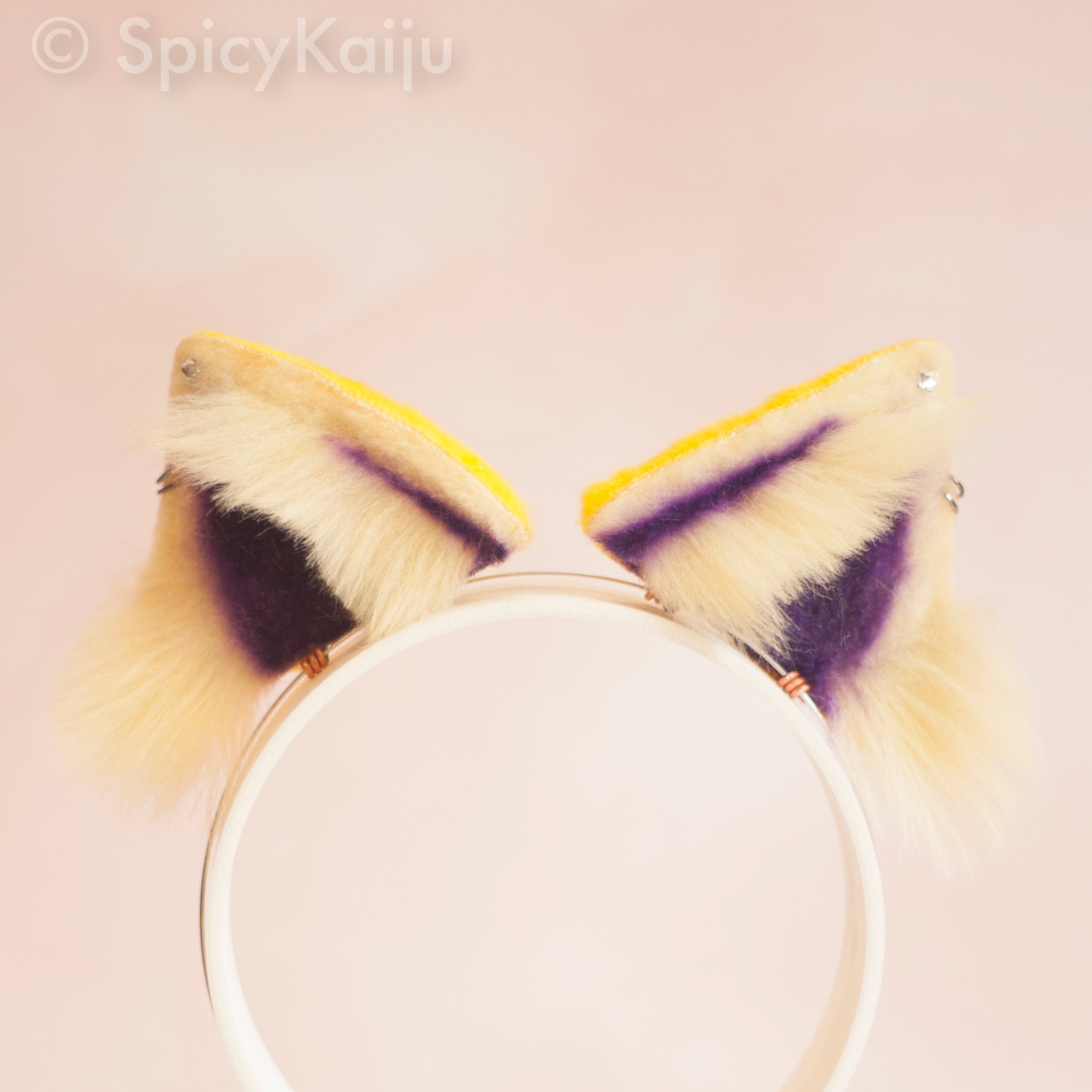 Intersex Kitten Ears