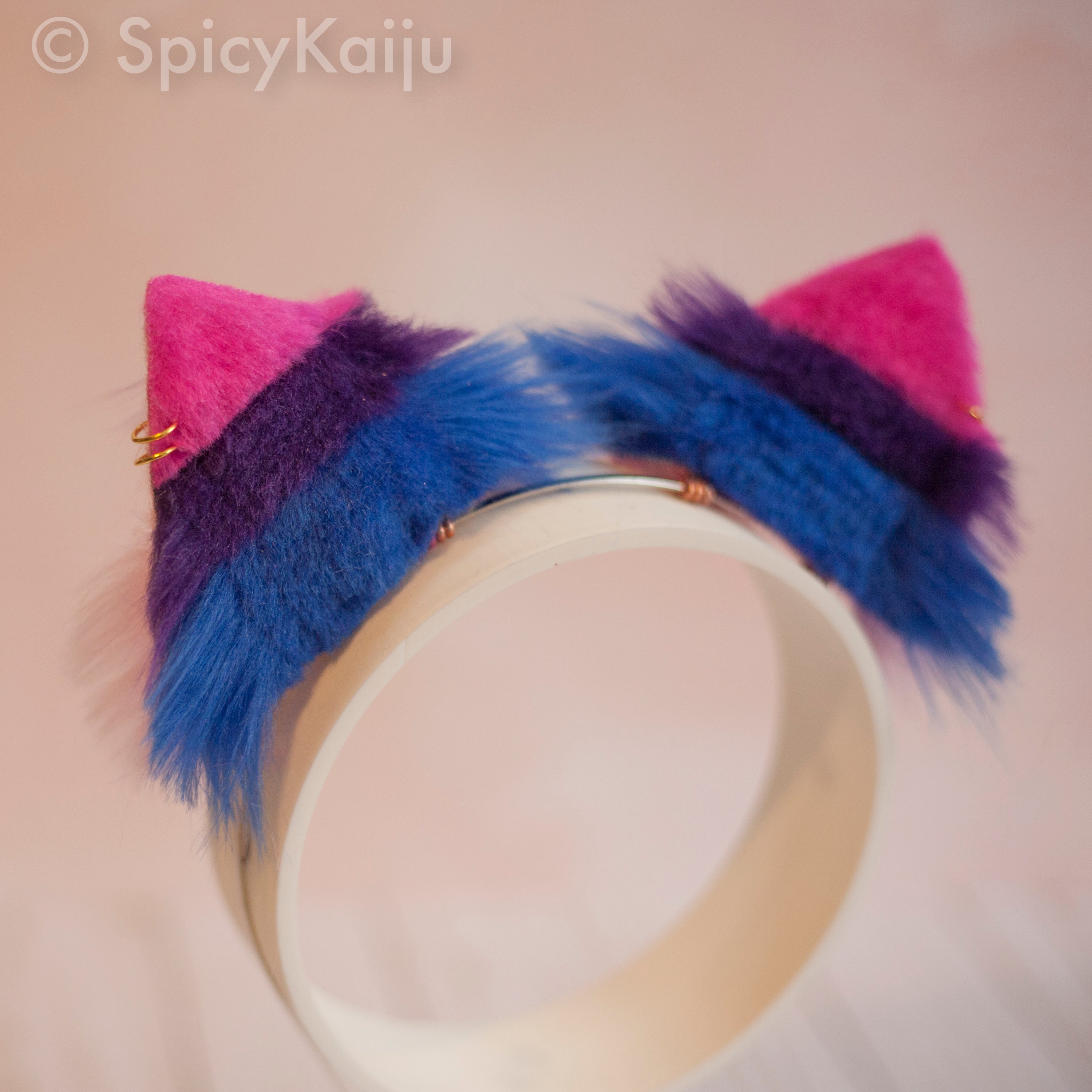 Bi Pride Kitten